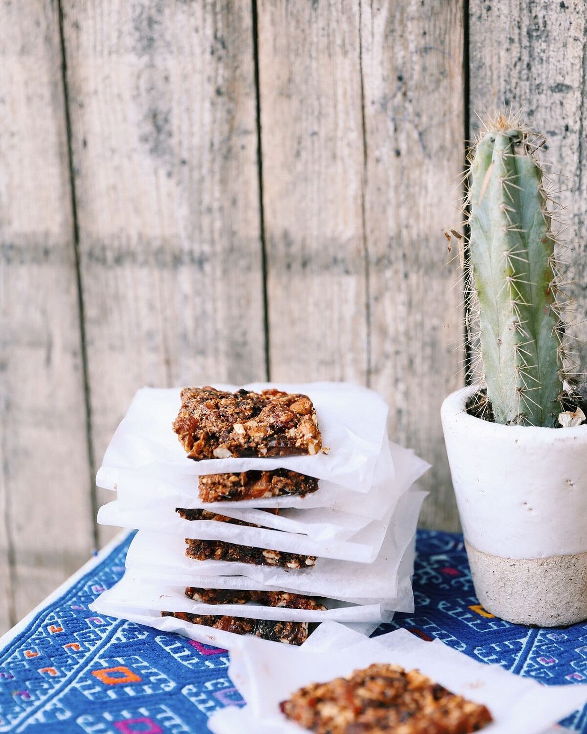 Aztec Fruit Bars
