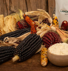 Baked Tostadas – Made with Landrace Corn from Yucatán
