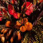 La Despensa Matriarca- The whole product line