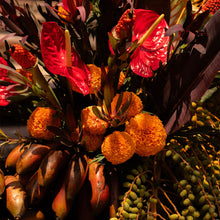 La Despensa Matriarca- The whole product line