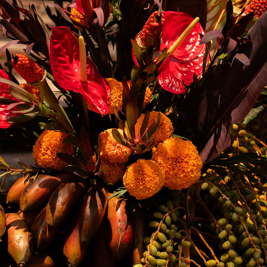 La Despensa Matriarca- The whole product line
