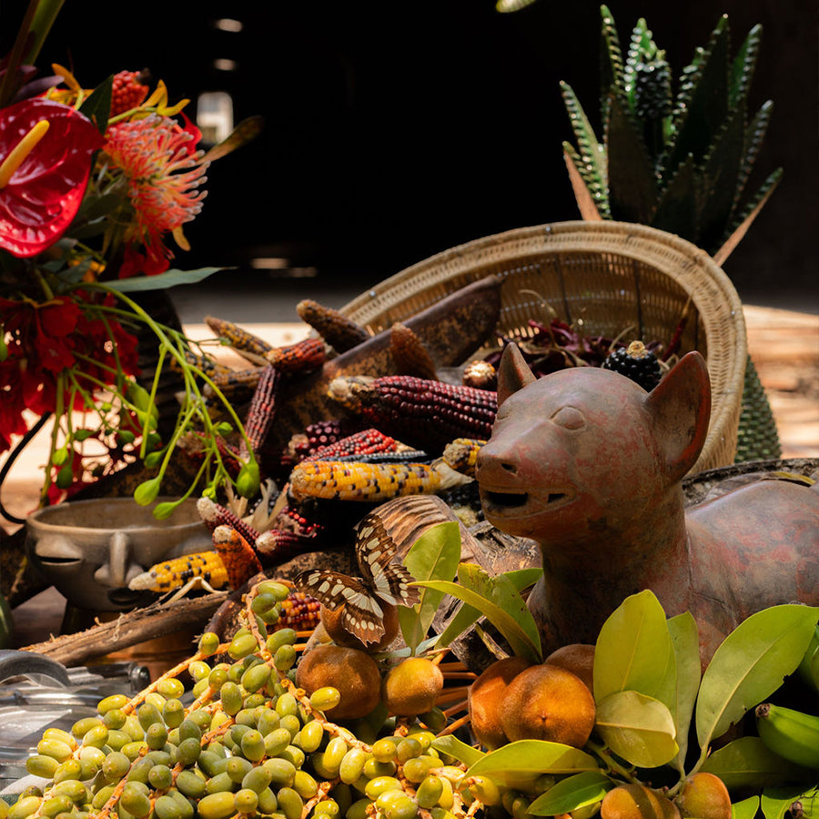 La Despensa Matriarca- The whole product line