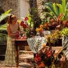 La Despensa Matriarca- The whole product line