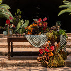 La Despensa Matriarca- The whole product line