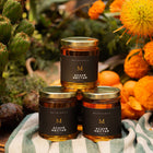 Agave Syrup – Organic Sweetener from Blue Agave
