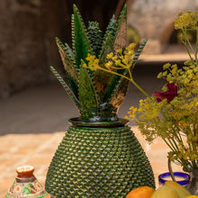 La Despensa Matriarca- The whole product line
