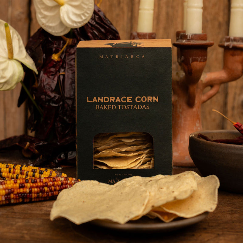 Baked Tostadas – Made with Landrace Corn from Yucatán