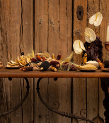 Baked Tostadas – Made with Landrace Corn from Yucatán